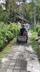 Daily life moments captured across Ubud's tropical landscapes