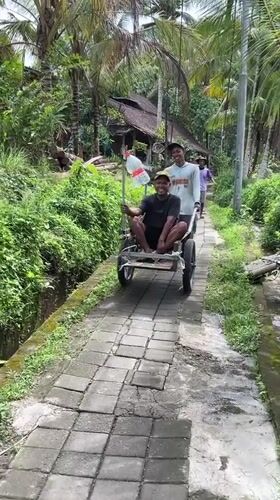 Daily life moments captured across Ubud's tropical landscapes