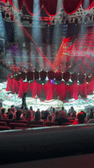 Circus performance draws packed crowd in Izhevsk, Russia