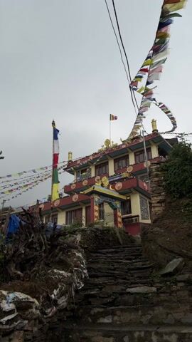 The image displays a multi-story building, likely a monastery or temple, nestled on a hillside under an overcast sky. A set of rugged, uneven stone steps leads upwards towards the entrance of the building. To the left of the steps, large, gnarled tree roots or dead wood are visible.

The building itself is characterized by its colorful architecture, primarily featuring warm yellow walls with prominent red trim and window frames. The roof is dark, possibly green or black, and is adorned with golden, decorative elements, including what appear to be dharma wheels and other symbolic ornaments. A small, multi-colored flag is planted on the roof.

Numerous prayer flags, known as lungta, are strung across the scene. Many colorful flags are draped from a tall flagpole on the left side of the building, extending outwards. Another long string of prayer flags stretches diagonally across the upper right portion of the frame, disappearing out of view. The main flagpole itself is tall and features vertical bands of blue, white, red, green, and yellow, with a white flag at the very top.

The surrounding environment includes green foliage and bushes on both sides of the building and along the path, indicating a natural, possibly forested, setting. The overall impression is one of a serene and spiritual location, possibly in a mountainous or hilly region.
