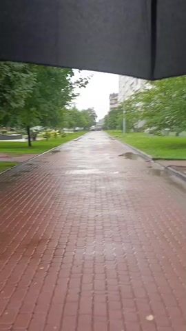 The video shows a view from under an umbrella looking down a paved walkway. The walkway is made of red rectangular bricks laid in a repeating pattern. The bricks are wet, indicating it has rained recently or is raining. There are puddles of water on the walkway. On either side of the walkway, there are grassy areas and trees with green leaves. In the background, there is a building and more trees. The sky appears overcast. The camera is moving forward, giving the impression of someone walking down the path.
