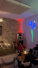 Intimate social gathering documented in Berlin residential setting