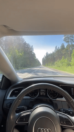 Driver travels forest road near Voronovka under clear skies