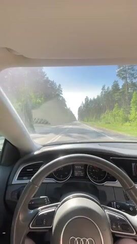 A car is driving on a straight asphalt road through a forest under a blue sky with scattered clouds. The view is from the driver's seat, showing the steering wheel with an Audi logo. The speedometer indicates a speed of around 110 km/h. The forest consists of tall, green trees lining both sides of the road, creating a tunnel-like effect. There is another car visible in the distance ahead. The windshield has some dust or dirt on it. The dashboard and interior of the car are visible, showing the car's controls and display screen.