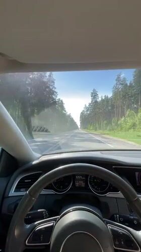 Driver travels forest road near Voronovka under clear skies