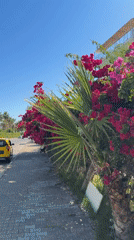 Kemer's tourist strip on a summer morning, streets to shoreline
