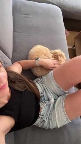 Woman and dog share quiet afternoon on couch