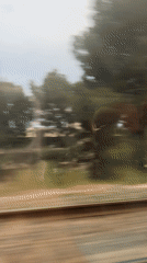 Train journey captures French Riviera's forest-to-coast transition