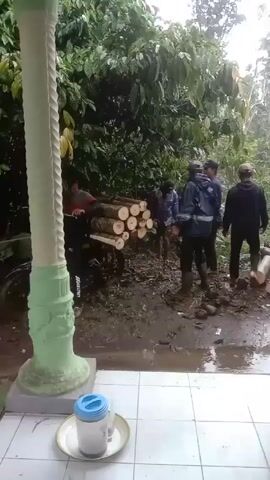 The video shows several people outside on a muddy, possibly rainy day. One person is standing beside a motorcycle loaded with logs, while three others are walking away from the motorcycle down a muddy path. Lush green vegetation is visible in the background. In the foreground, there's a white tile surface with a white pillar and a cup on a plate.