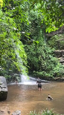 A waterfall cascades into a shallow pool of murky water surrounded by dense, green foliage. Two people are visible in the water. One person, wearing dark shorts and a dark shirt, stands in the middle of the pool, facing the waterfall. Another person, wearing lighter-colored shorts, is partially submerged to the right, facing away from the camera. The environment is lush and tropical, with large leaves and vines dominating the scene. The water appears brown and reflective, with some rocks visible beneath the surface. A few small stone cairns are stacked on a submerged rock in the foreground.