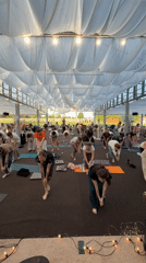 Early morning outdoor yoga class held in Zhirnosovo, Russia