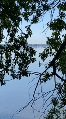 Early morning lakeside tranquility documented in Votkinsk, Russia