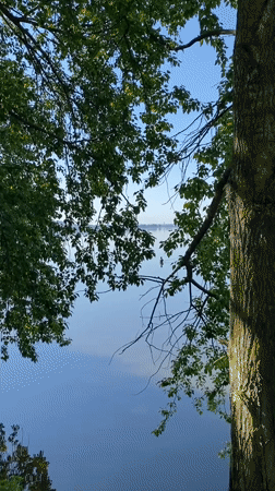 Early morning lakeside tranquility documented in Votkinsk, Russia
