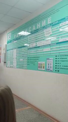 The video shows a hallway with a large green informational poster on the wall. The poster has text and what appear to be schedules and room numbers. To the right of the poster is a white door with a dark handle and a small green sign with the number 6 on it. Further to the right is another section of the poster, this one featuring several documents pinned to a green board with the text "ОМС информирует" at the top. A person's shoulder and arm are visible in the bottom left corner of the frame.