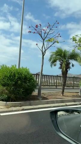 A car is driving along a road on a sunny day. The road is paved and has white lines marking the lanes. On the left side of the road, there is a sidewalk, some green bushes, and a wooden fence. In the distance, there are palm trees and some mountains. The sky is blue with white clouds. On the right side of the road, there is a rocky hillside with some vegetation. A man in a white shirt and shorts is walking on the sidewalk on the left side of the road. The camera is positioned inside the car, looking forward through the windshield. The rearview mirror is visible on the left side of the screen.