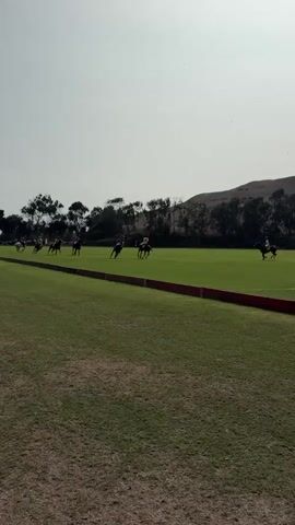 The video captures a polo match on a bright, sunny day. The scene is a vast, impeccably maintained green polo field, bordered by a red line. In the background, a line of trees and a gently sloping hill form the horizon. The sky is clear and pale. Several polo players on horseback are visible on the field, actively engaged in the game. One player, dressed in white, is riding a white horse, while others are on darker horses. They are spread across the field, some in the distance and others closer to the camera, with their horses in motion, suggesting speed and action. The grass in the foreground appears somewhat dry and less manicured than the playing field.
