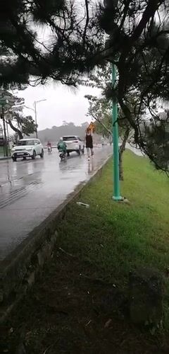 Rainy morning life along Da Lat's Xuan Huong Lake