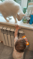Toddler plays near window in Tokkari home