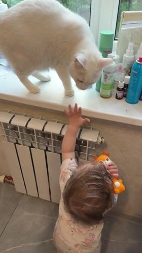 Toddler plays near window in Tokkari home