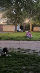 Man and dog rest in Ruse park evening