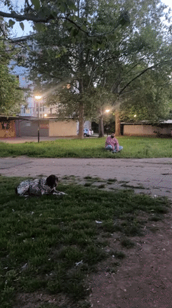Man and dog rest in Ruse park evening