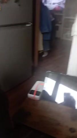 A blurry video captures a kitchen scene. The primary focus is a gray refrigerator with several magnets on its door. To the left of the refrigerator are light brown cabinets. In the foreground, a person's legs and feet, clad in dark pants and patterned sneakers, are visible. The floor appears to be made of wood. The lighting suggests an indoor environment.