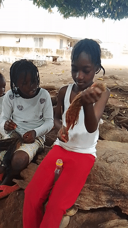 Young people sitting outdoors near trees and building