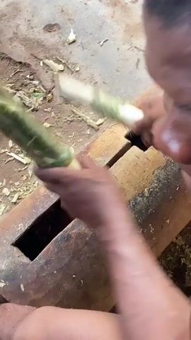 In Ogbu, Nigeria, a man is seen in a close-up and overhead view, actively peeling green stalks, likely sugarcane. He holds a long green stalk in one hand and uses a smaller white stick or tool with the other to scrape off its outer layer. He is positioned over a large, sturdy wooden log that has a rectangular slot cut into its top surface, possibly serving as a workbench or collection point for the discarded peelings. The ground around him is bare earth and concrete, scattered with plant debris from the peeling process. Sweat is visible on the man's face, indicating physical exertion or warm weather conditions. The activity appears to be a traditional or manual method of processing the stalks. Traditional music plays in the background, accompanying the rhythmic scraping.
