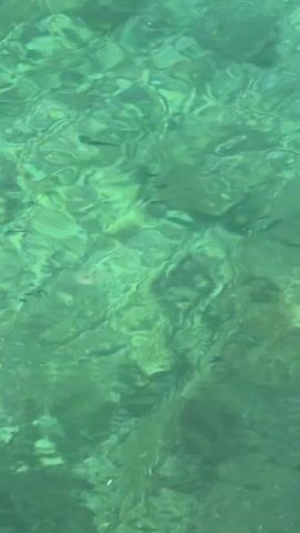 The video shows shallow, clear, greenish water. The bottom is visible, with rocks and sand. Small fish can be seen swimming in the water. The surface of the water is slightly rippled.