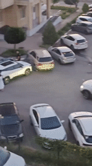 A Bataysk evening: cats, courts, and golden-hour streets