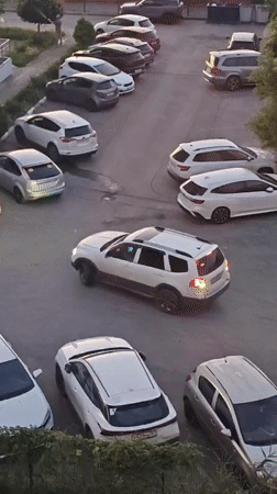 A Bataysk evening: cats, courts, and golden-hour streets