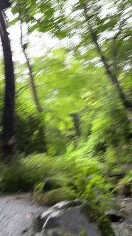 The video shows a low-angle view of a natural environment, possibly a forest or park, with lush green foliage and trees. The ground appears to be wet, suggesting recent rain or proximity to water. Several large rocks, some covered in moss, are visible in the foreground and mid-ground. A gravel path is present on the left side of the frame, leading into the scene. In the background, more trees and dense vegetation create a sense of depth. The lighting is diffused, consistent with an overcast day or shaded area. There are no people or distinct objects other than natural elements like rocks and plants. The camera appears to be moving slightly, creating a subtle sense of parallax.