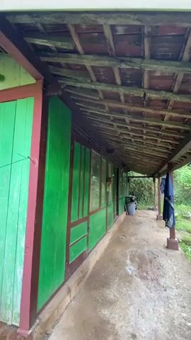 The video pans across a porch of a house with green and maroon siding. Underneath the wooden roof, clothes are hanging on a pole. The porch leads to a grassy yard where a person is standing in the distance, holding a phone. The area is surrounded by lush green trees and vegetation under a partly cloudy sky.