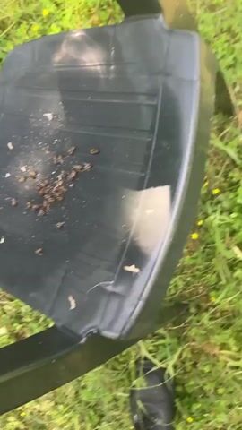 A close-up video shows a dense swarm of honey bees covering a section of a tree log or thick branch. The bees are tightly packed together across the rough surface of the wood. The camera moves around the log, providing different perspectives of the bee cluster. In the background, green grass and a black plastic chair with a patterned backrest are visible. The chair appears to be outdoors on the grass. The sky, partially obscured by trees, suggests a bright, sunny day. No people are visible in the video.