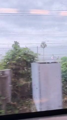 The video shows a view from a moving vehicle, likely a train, looking out a window. The scene outside is a coastal area with palm trees, a road with cars and buses, and a parking lot. The sky is overcast and it appears to be raining, as evidenced by water droplets on the window. Lush green vegetation is visible along the side of the road. The interior of the vehicle is partially visible in the foreground, showing a blurred reflection of people and the interior. The video progresses from a wider view of the landscape to a closer, more blurred view of the vegetation and interior.