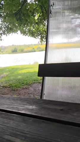 The media file is a video clip filmed from the perspective of a wooden table, looking out at a scenic lakeside setting. The foreground is dominated by the weathered wooden planks of the table, suggesting an outdoor seating area. Beyond the table, a grassy area slopes down towards a calm lake. The lake is wide and reflects the bright sky, indicating it is likely daytime.

In the middle ground, to the left of the lake, there's a small wooden dock extending into the water, with a boat tied to it. Further to the left, a single tree stands by the water's edge. To the right of the lake, there's a slightly elevated landscape with rolling hills covered in green grass and patches of yellow flowers, suggesting a rural or countryside environment. A single cylindrical metal object, possibly a barrel, is situated on the grass near the lake.

The background shows a hazy, bright sky, hinting at a sunny but possibly warm day. The overall atmosphere is peaceful and serene, evoking a sense of relaxation and nature. The camera movement is a slow pan to the left, revealing more of the lake and the surrounding landscape. There is no discernible human presence or activity, focusing solely on the tranquil environment. The setting appears to be a park or a recreational area by a lake, possibly in Nikolaevka, Bulgaria, given the location context. The time of day appears to be late morning or afternoon, given the brightness of the sky.