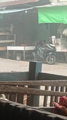 The video shows an outdoor scene, possibly a market or street. In the foreground, a wooden enclosure with birds, likely chickens, is visible. In the background, there are several stalls or shops. On the left, there are shelves displaying items. In the center, a person is working behind a counter. A black motorcycle is parked near the stall. A white scooter with two riders wearing helmets passes by. The overall lighting suggests it is daytime, possibly overcast or dusty.