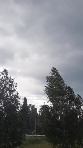 This media file captures a view of a cloudy sky with trees silhouetted against it. The scene appears to be outdoors, likely in a natural setting given the presence of trees and a grassy area visible on the right side of the frame. A utility pole with wires can be seen in the distance, suggesting the presence of infrastructure nearby.

The sky is predominantly overcast with shades of gray, indicating a cloudy or possibly rainy day. Small, white specks are visible throughout the frame, which could be raindrops or other atmospheric particles. The overall mood is somber and perhaps a bit dramatic due to the heavy cloud cover.

The time of day is not precisely discernible due to the overcast conditions, but the light suggests it could be daytime. The location context provided is Зеленогорский, Russia, which helps to situate the scene geographically. There are no discernible people or specific objects that stand out as primary subjects, with the focus being on the natural elements of the sky and trees. The image conveys a sense of a calm, yet potentially turbulent, weather event.