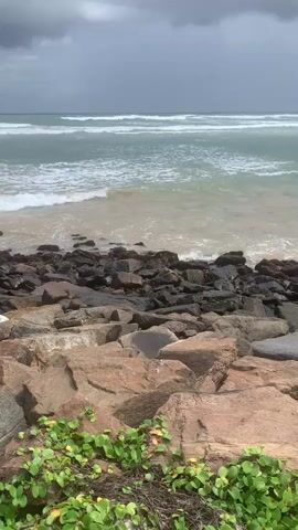 This media file captures a natural scene of a rocky shoreline and the ocean. The foreground is dominated by a textured arrangement of large, weathered rocks, some of which are reddish-brown, while others are dark grey. Green, leafy vegetation sprouts from the base of the rocks, adding a touch of life to the rugged landscape.

Beyond the rocks, the ocean stretches out to the horizon. The water appears murky and greenish-brown near the shore, transitioning to a clearer turquoise further out. Waves are breaking, creating white foam and ripples that move towards the land. The sea appears somewhat choppy, suggesting a moderate level of activity.

The sky above is filled with heavy, dark grey clouds, indicating overcast or potentially stormy weather. The overall lighting is muted, contributing to a somewhat dramatic and subdued atmosphere. There is no visible text in the media file. The scene evokes a sense of raw, natural beauty and the power of the ocean, potentially capturing a moment before or after a rain shower given the cloud cover. The location is identified as Kabalana, Sri Lanka, known for its surfing beaches and rocky outcrops.