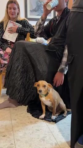 The video shows a gathering of three individuals in what appears to be an indoor setting. A woman with blonde hair is seated, holding a magazine and looking to her left. Next to her, a person is sitting with a black, voluminous skirt. This person, who is drinking from a paper cup, is caressing a small, tan-colored dog seated at their feet. The dog is wearing a collar and appears attentive. Another person stands to the right, primarily obscured by the camera angle, wearing black pants. The floor is tiled, and a framed picture hangs on the wall behind the seated individuals. The atmosphere seems casual and relaxed.