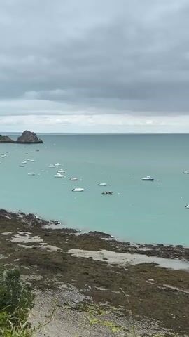 The video captures a wide, static shot of a coastal scene under an overcast sky. A large expanse of turquoise-colored water fills the majority of the frame, with numerous small, white motorboats and leisure craft anchored or floating across its surface. The foreground reveals a rugged, rocky shoreline covered in dark green and brown seaweed. On the immediate shore, a rectangular concrete structure, appearing to be a tidal swimming pool, is visible with water contained within it, and a concrete path extends towards it from the bottom right. Green foliage and tree branches are present in the very bottom foreground. The sky above is entirely covered with grey, uniform clouds. The distant horizon shows more water, with a faint, dark silhouette of land or an island visible. No human figures are present or active within the frame.