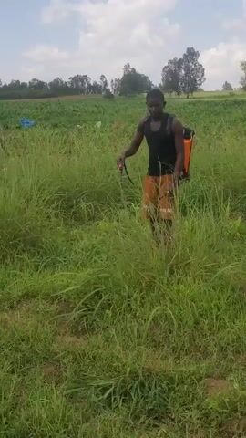 A young Black male wearing a black tank top and brown shorts walks through a field of tall green grass. He carries a bright orange backpack sprayer on his back and holds a long, black wand connected to it. He is spraying the grass with a fine mist as he moves forward. The field appears to be agricultural, with crops visible in the background. The sky is blue with scattered white clouds, and trees and rolling hills are visible in the distance. The overall impression is of agricultural work being performed in a rural setting.