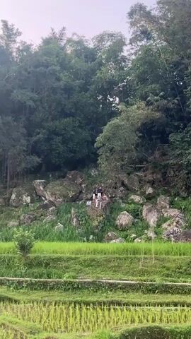 A group of five people are gathered on large rocks on a grassy hillside. They are facing the camera and appear to be posing for a photo or video. The environment is lush and green, with trees and bamboo growing behind the rocks. In the foreground, there are rice terraces. The sky is overcast.