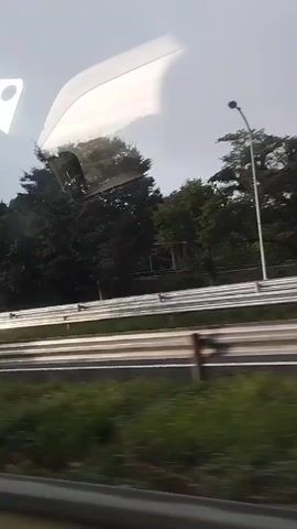 The video shows a view from inside a moving vehicle, looking out at a highway. Trees and a guardrail are visible on the side of the road. In the first segment, a blurry blue truck drives by. In the second segment, a blurry pink shipping container with white lettering passes. The remaining segments show the highway and the surrounding landscape as the vehicle continues to move.
