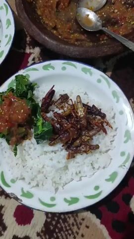 Here's a forensic description of the video:

**Scene:** A close-up shot focuses on a white plate with a green scalloped edge. The plate contains a serving of white rice, topped with what appears to be fried grasshoppers, alongside a portion of green leafy vegetables and a scoop of red sauce. Above and slightly behind the plate, there's a dark brown bowl, possibly earthenware, containing remnants of a red sauce. Two spoons rest in the bowl, indicating previous usage. The background features a patterned surface resembling a rug or tablecloth.
**Objects:** Plate, rice, fried grasshoppers, vegetables, red sauce, bowl, spoons, patterned rug.
**Actions:** The camera is relatively still, focusing on the prepared plate of food. Audio contains indiscernible murmurs.