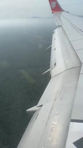 The video shows a view from an airplane window looking down at a landscape. The right side of the frame is dominated by the white airplane wing, with the red and white logo of Lion Air visible at the top. Below the wing, a vast expanse of green, orderly trees, likely an oil palm plantation, stretches across the land. In the distance, a hazy mountain range can be seen under a cloudy sky. The perspective suggests the airplane is in descent or cruising at a relatively low altitude.