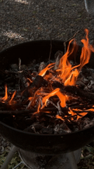 Charcoal grilling session in Erba yard