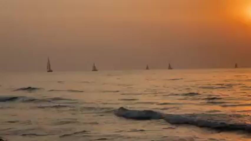 A serene seascape unfolds under a warm, orange-hued sunset. Gentle waves roll onto the shore, reflecting the golden light. In the distance, five sailboats dot the horizon, their silhouettes adding a touch of tranquility to the scene. The sky is a gradient of soft orange and peach, blending seamlessly with the calm sea.