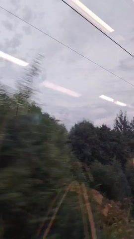The video shows a blurred view from a moving vehicle, likely a train, looking out a window. The sky is overcast with visible reflections of interior lights on the glass. Outside, there is a blur of green foliage, consisting of trees and bushes, suggesting a rural or semi-rural landscape. In the distance, hints of buildings, possibly houses with red roofs, can be seen. The motion blur is significant, indicating the speed of the vehicle.