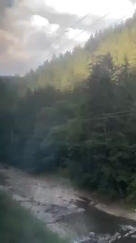 The video displays a landscape shot from a moving train.  A river flows alongside the train tracks, appearing swollen with murky water.  A concrete bridge spans the river.  Dense green forest covers a sloping hillside, with numerous tall evergreen trees prominent. Power lines stretch across the upper part of the frame against a sky partially obscured by clouds. The lighting is bright, but hazy, as if the sun is filtered through the clouds.